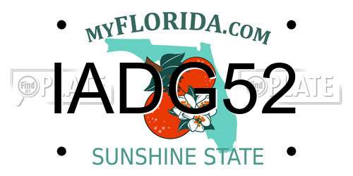 IADG52 Florida License Plate
