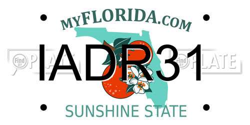 IADR31 Florida License Plate