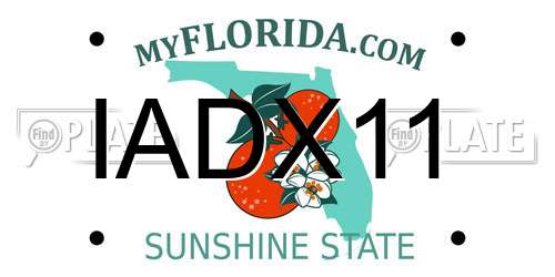 IADX11 Florida License Plate