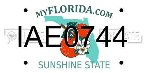 IAE0744 Florida License Plate