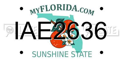 IAE2636 Florida License Plate