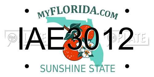 IAE3012 Florida License Plate