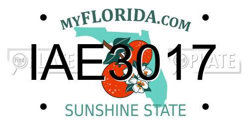 IAE3017 Florida License Plate