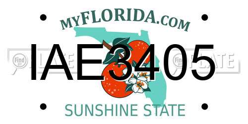 IAE3405 Florida License Plate
