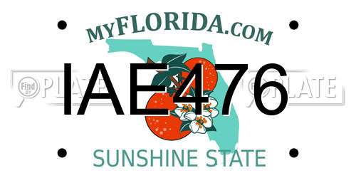 IAE476 Florida License Plate