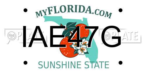 IAE47G Florida License Plate