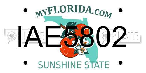 IAE5802 Florida License Plate