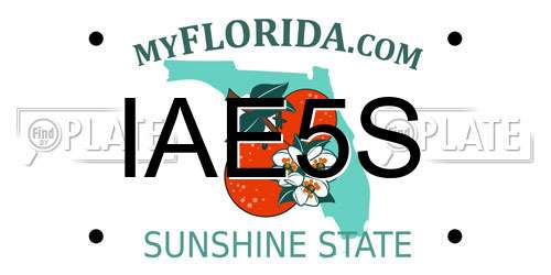 IAE5S Florida License Plate