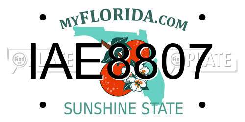 IAE8807 Florida License Plate