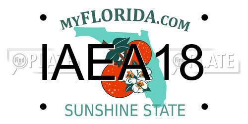 IAEA18 Florida License Plate