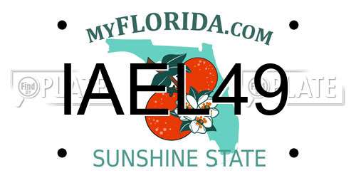 IAEL49 Florida License Plate