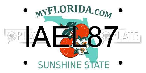IAEL87 Florida License Plate
