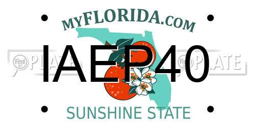 IAEP40 Florida License Plate