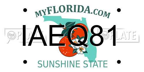 IAEQ81 Florida License Plate