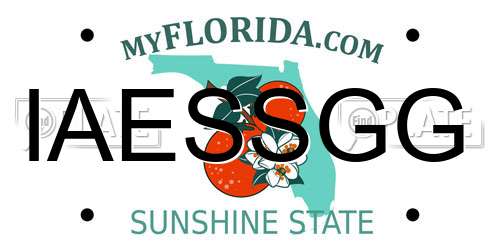 IAESSGG Florida License Plate