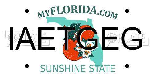 IAETGEG Florida License Plate