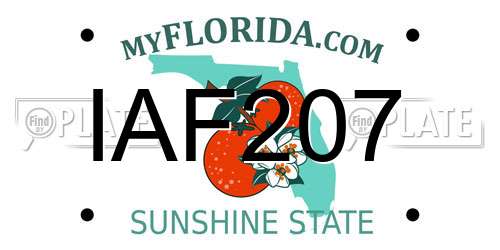 IAF207 Florida License Plate