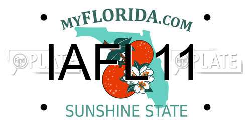 IAFL11 Florida License Plate