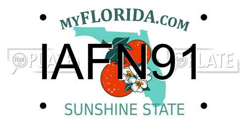IAFN91 Florida License Plate