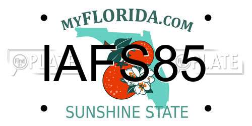 IAFS85 Florida License Plate