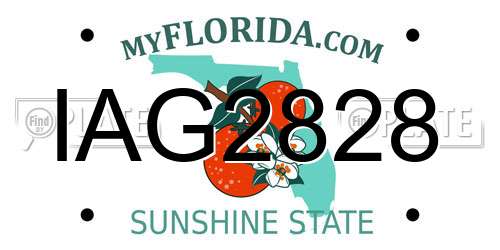 IAG2828 Florida License Plate