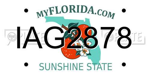 IAG2878 Florida License Plate