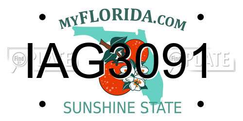 IAG3091 Florida License Plate