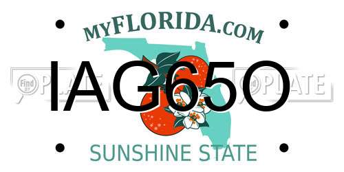 IAG65O Florida License Plate