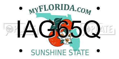 IAG65Q Florida License Plate