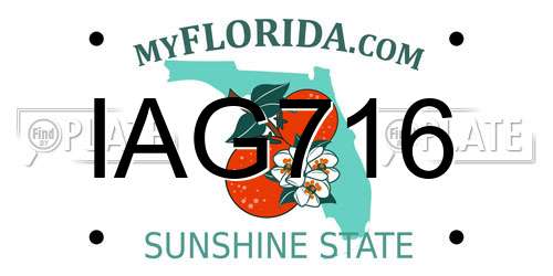 IAG716 Florida License Plate