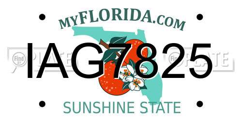 IAG7825 Florida License Plate