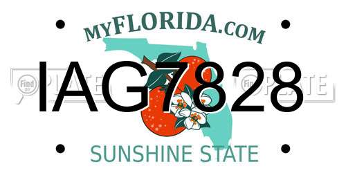 IAG7828 Florida License Plate