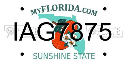 IAG7875 Florida License Plate