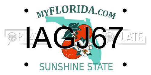 IAGJ67 Florida License Plate