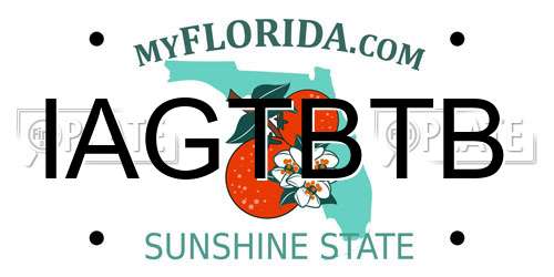 IAGTBTB Florida License Plate