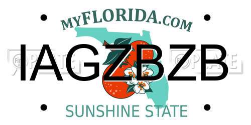 IAGZBZB Florida License Plate