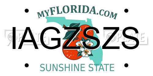 IAGZSZS Florida License Plate