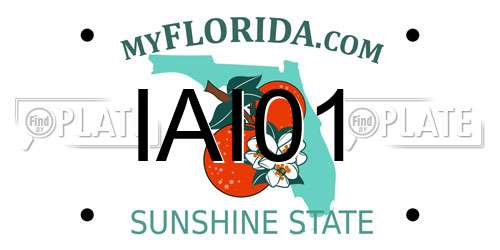 IAI01 Florida License Plate