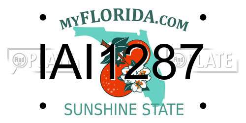 IAI1287 Florida License Plate