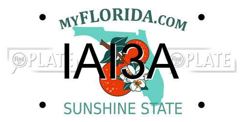 IAI3A Florida License Plate
