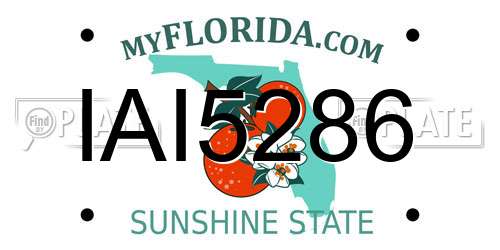 IAI5286 Florida License Plate