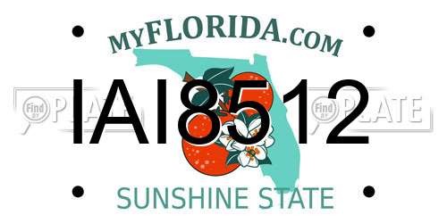 IAI8512 Florida License Plate