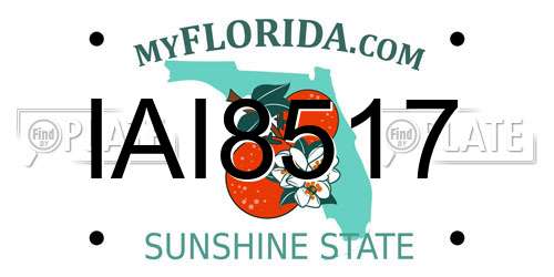 IAI8517 Florida License Plate