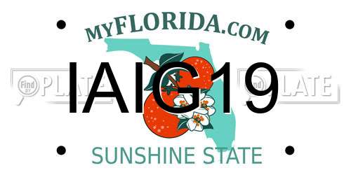 IAIG19 Florida License Plate