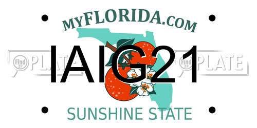 IAIG21 Florida License Plate