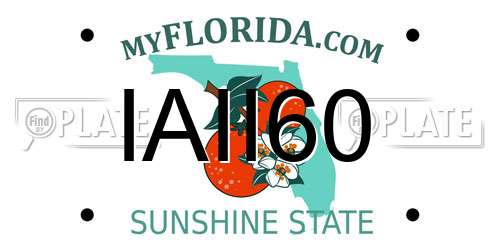 IAII60 Florida License Plate
