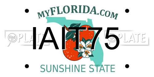 IAIT75 Florida License Plate