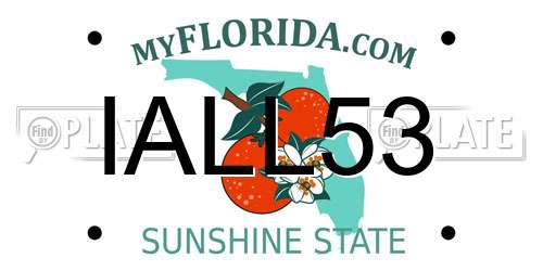 IALL53 Florida License Plate