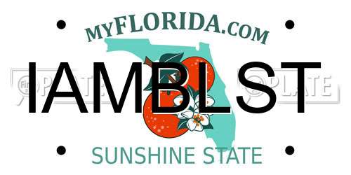 IAMBLST Florida License Plate