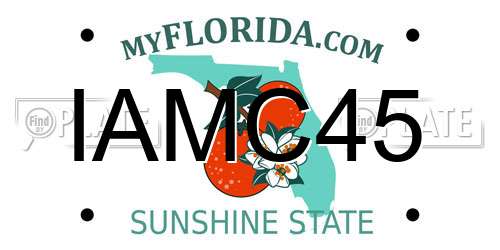 IAMC45 Florida License Plate